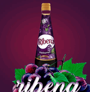 Ribena (500ml)